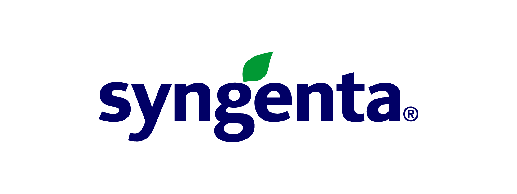 Syngenta Tohum